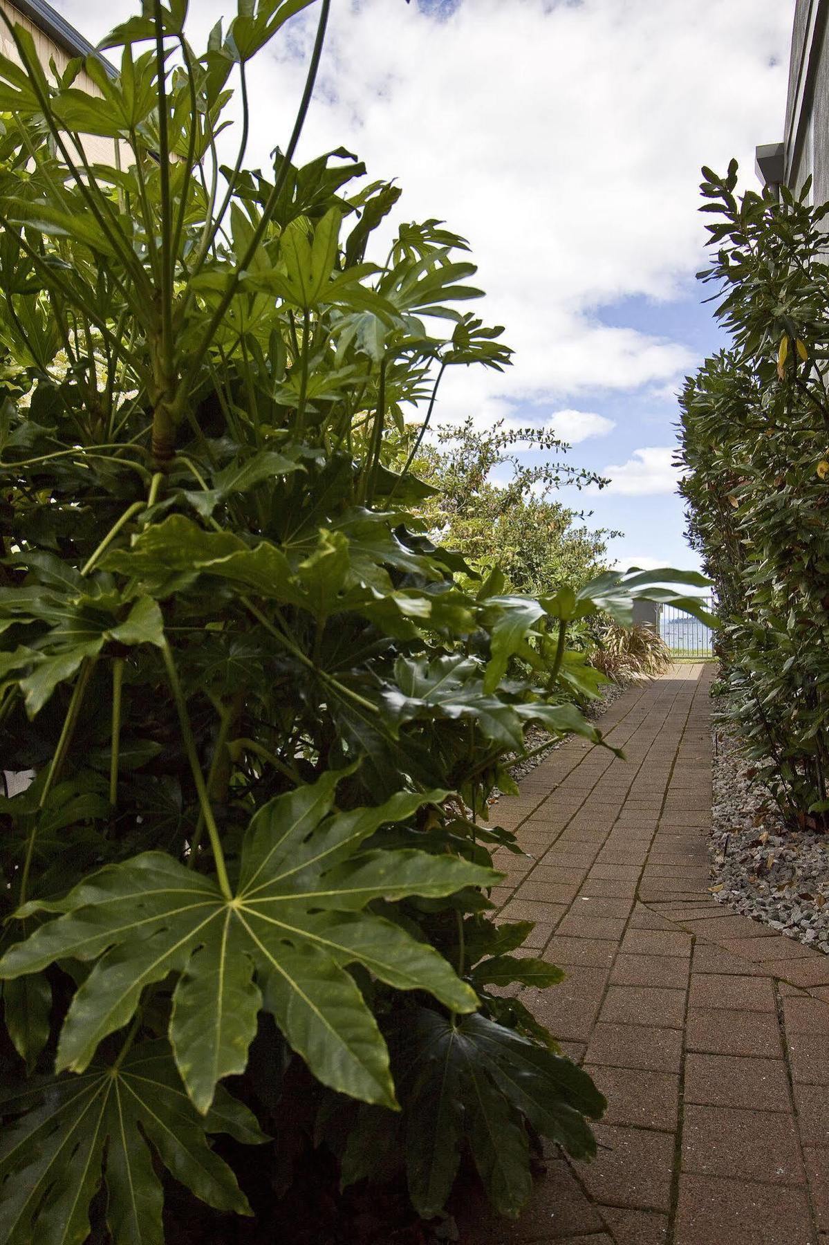 Clearwater Motor Lodge Taupo Kültér fotó